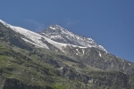 Tel qu'on le voit au bord de la route