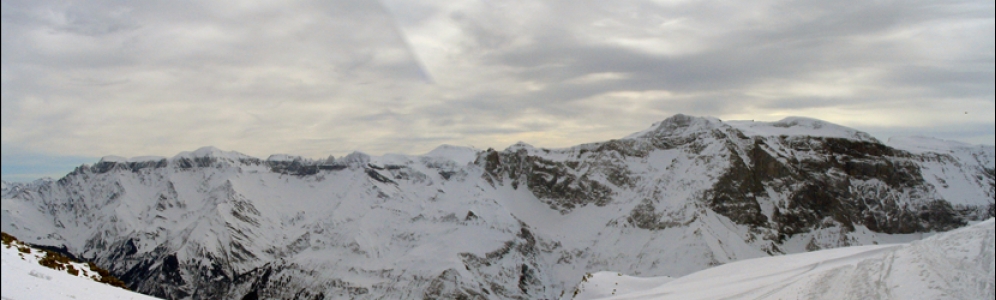 header