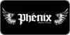 Phenix snowboards 2009