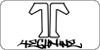 Technine snowboards 2010