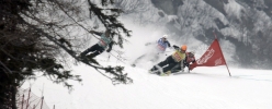 Enak : 10 ans de skicross