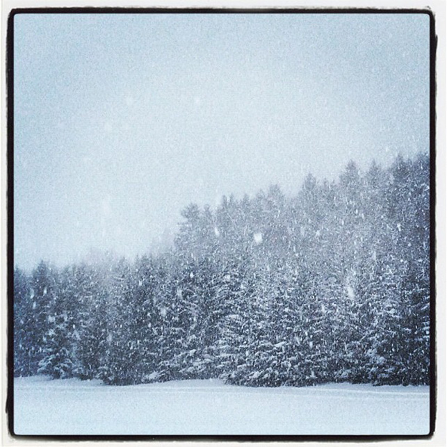 Temp&ecirc;te de neige