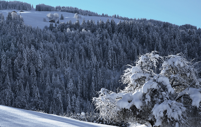 Neige et soleil ! 16/01/13