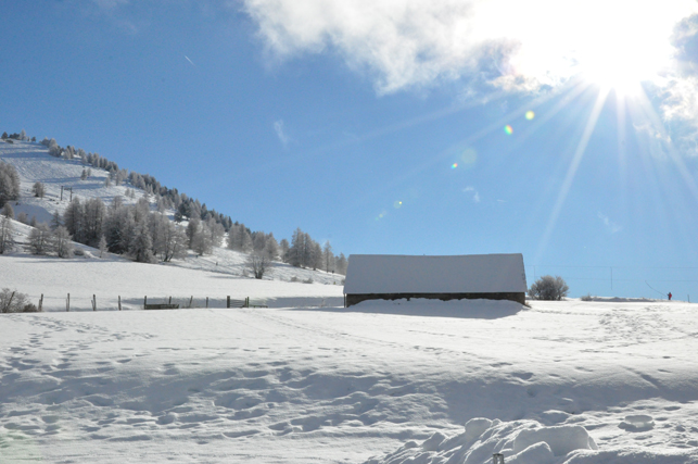 Neige et soleil ! 16/01/13