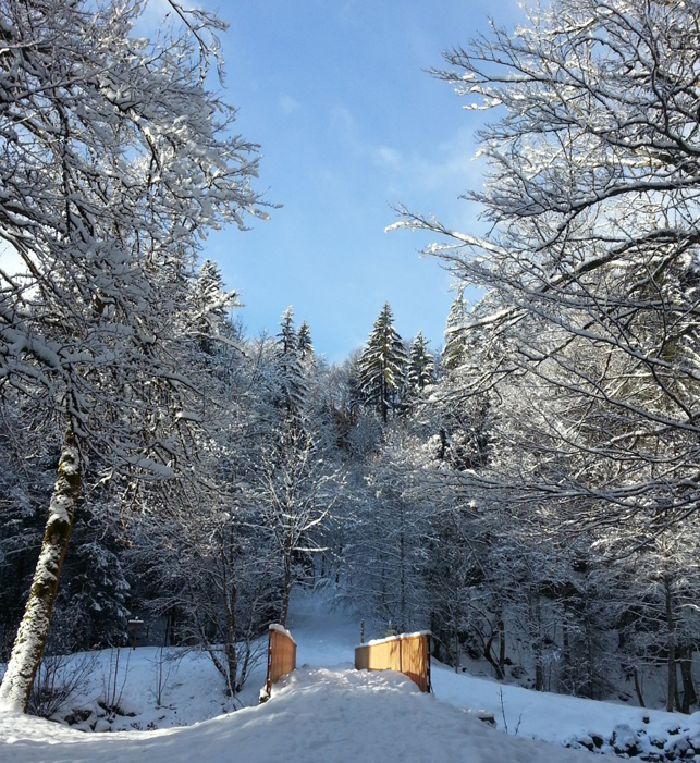 Neige et soleil ! 16/01/13