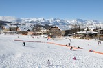 Frond de neige du château