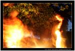 Barbecue � la viande neo zelandaise