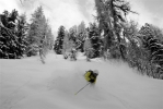 Sam Rochet chez lui, dans les sapins de Montchavin, les Wyatt aux pieds.