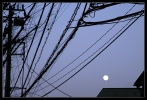 le cablage tokyo�te, tout un po�me