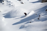 Vivien dans la poudre 3