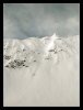 Deflower vue du bas