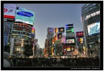 Shibuya, le quartier djeunz