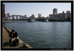 les docks du march� aux poissons