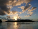 Moorea