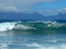 surf tahiti