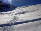 Nos traces