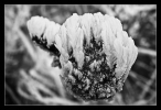 Givre sur un piquet de parc