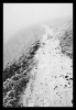 Le sentier se perd dans la brume