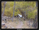 cabane de peyron roux