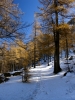 Belle lumière, magie des couleurs...
