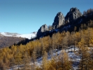 Les petites aiguilles du plan Tendasque