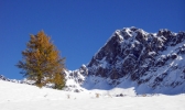 Isola - Oct. 05