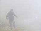Guillaume dans le beau brouillard