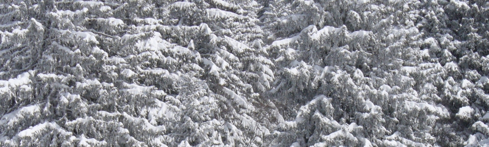 Vercors, j'tadore
