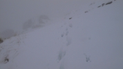 Ne pas perdre les traces...