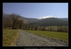 Long way