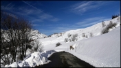 Villard Reculas - 05/12/07