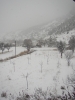 Mon jardin 800m d'altitude