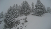 Neige quand tu nous tiens...