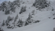 powpow a donf...