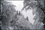 Avoriaz, 11 décembre 2007