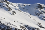 Peter Scharaf / Columbia