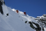 Peter Scharaf / Columbia
