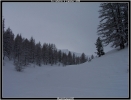 A la sortie des bois