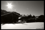 neige immaculée