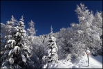 Sur la route des 7 Laux, le 13 janvier 2008