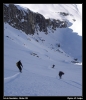 Les chevaux sont l�ch�s.