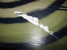 Noyau et fibre de carbone intacts. M�me pas mal ;-)