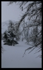 PowpPow
