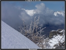 Le champsaur
