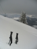 Villard 25 mars
