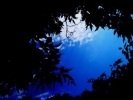 dreamin'?