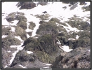 Refuge du glacier blanc