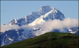 La Muzelle pl�tr�e