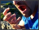 Invasion de mouches