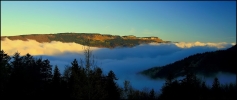 25 octobre 2008 - été Indien à Lans en Vercors